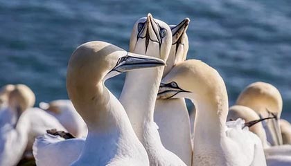 长兴2026年最新北京商务伴游经纪招聘渠道分享(最方便真实的长兴北京爱特博旅运服务有限责任公司招聘方法)