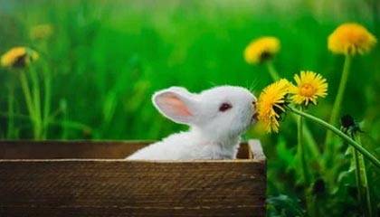 长兴2026年最新北京商务伴游经纪招聘渠道分享(最方便真实的长兴北京爱特博旅运服务有限责任公司招聘方法)